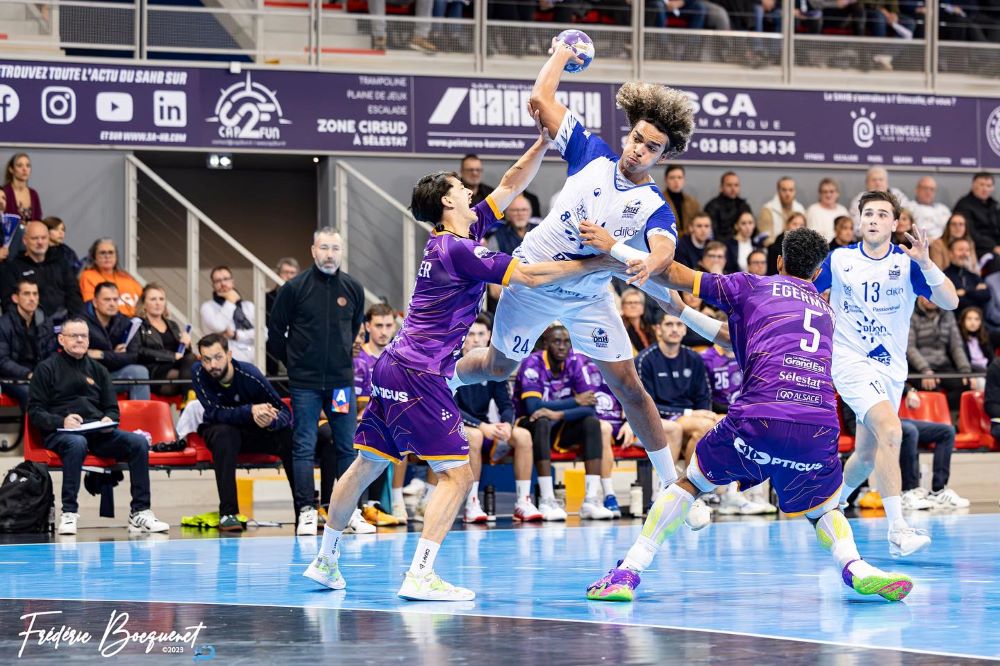 Proligue 2024/2025 | Dijon solide et toujours invaincu, Frontignan se fait quelques frayeurs